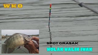 SAKJOSE‼️MANCING WKO TERBARU SPOT GRASAK, WOLAK WALIK IWAK #fishing #mancing #fish