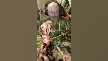 Sons of the Forest : Fingered good