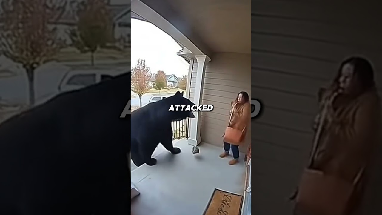 subscribe for more heroic saves by dogs #dog #pets #amazing #viral #fyp #cute  #shorts  #feedshorts