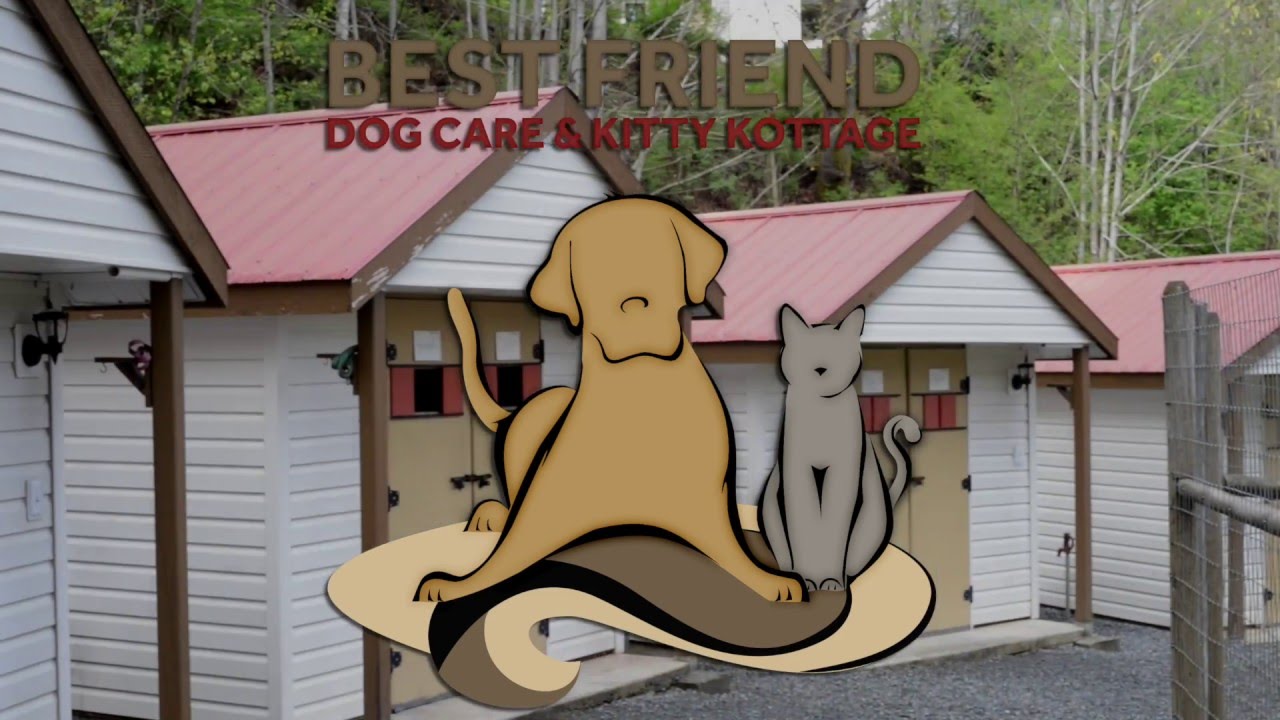 Best Friend Dog Care & Blackberry Hill Kitty Kottage  Site Video