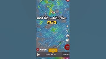 ⚠️ Cảnh báo mưa bão 29/8 | Dải mưa lớn, nguy cơ lũ quét & ngập úng 🌧️🌊 #video #viral #music #begau