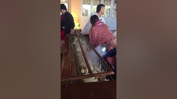 máy rửa củ cải. cà rốt. 0327048959