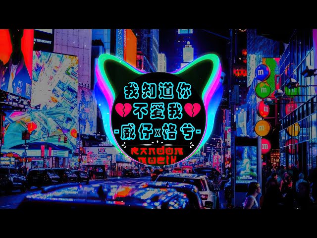 我知道你不爱我 (DJ版)🔥Em Biết Anh Không Yêu Em『Remix Tiktok』Nhạc Nền Hot Trend Tiktok 2023 [Re-edit Ver] class=