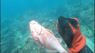 Hawaii Spearfishing Raw Clips