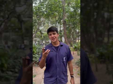 Projeto Prevencionista - apresentação - 2024 fecti