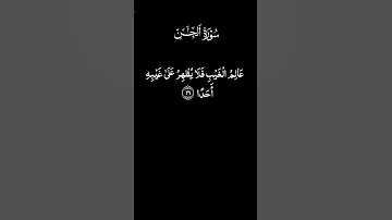 ابداع من سورة الجن من القارئ الدكتور أحمد نعينع طبيب القلوب قرآن المصحف اكسبلور 