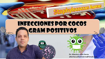 ¿Qué ocurre si se toca una infección por estafilococos?