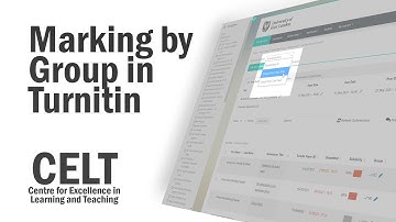 Marking in Groups on Turnitin