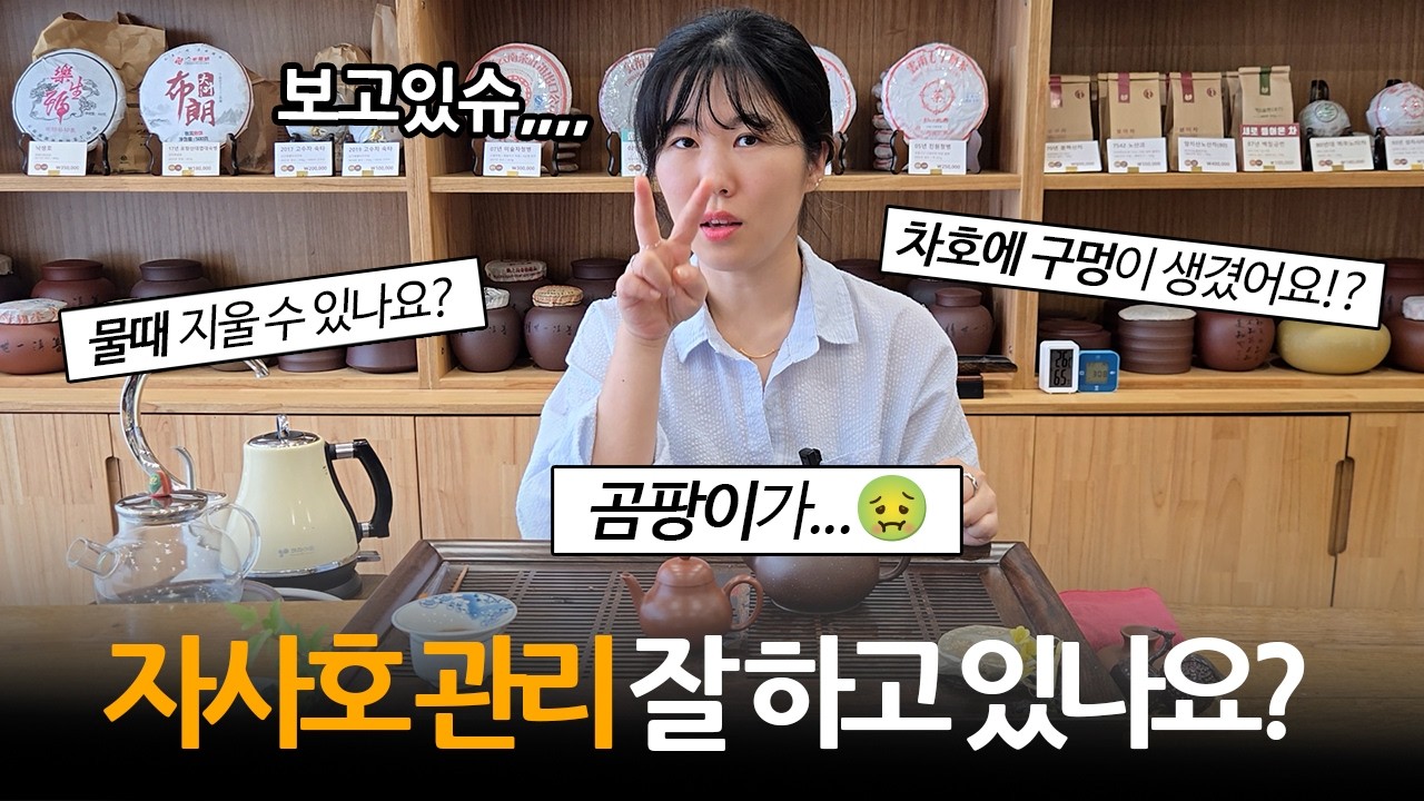 자사호 사용법 큐앤에이 Q&A, 제대로 자사호 길들이기 | 지유명차 용인중앙