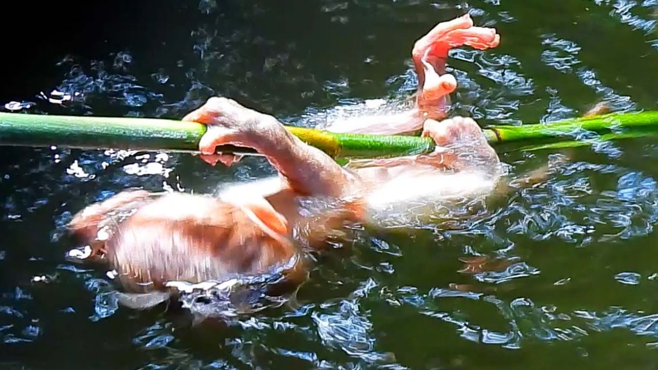 Help The newborn please Help!!!