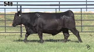 Lot 54B