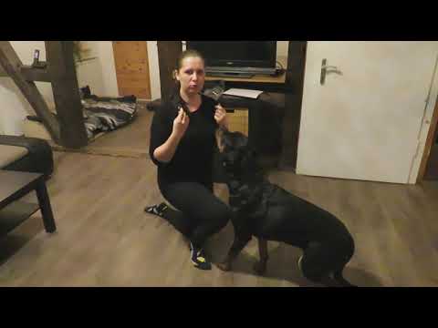 GG Ultimativer Abruf