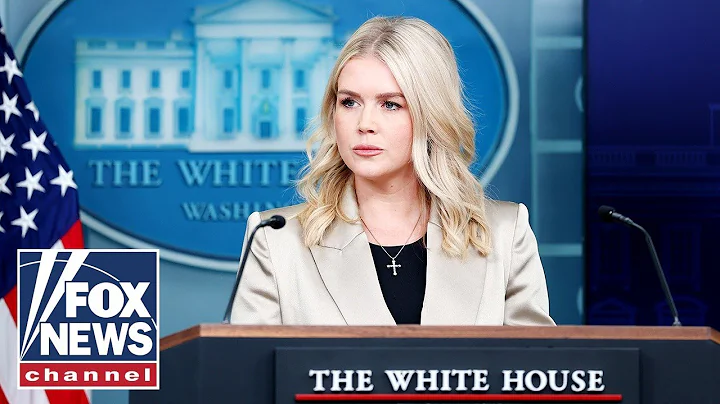 Leavitt touts Trump's 'significant' economic progress: 'Bigger paychecks, lower prices'