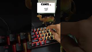 Camel Emoji 🐪 Shortcut  #keyboard #computerkeyboard #asmrkeyboard
