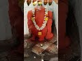 #ganpati #gondi #shree #ganesh #sankashtchaturthi #sukhhartadukhharta
