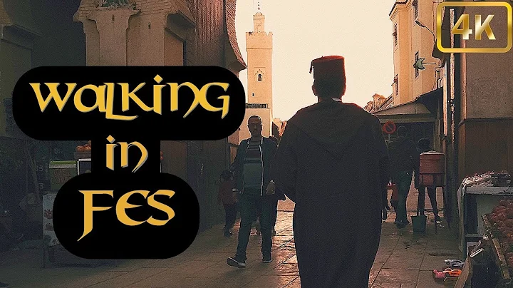Walking Tour of Fes Medina  Morocco Africa Video W...