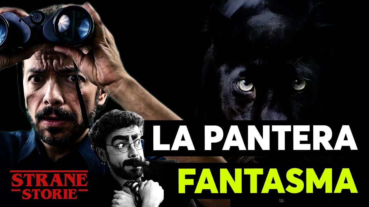 La pantera FANTASMA
