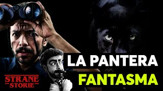 La pantera FANTASMA