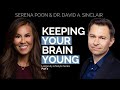 Keeping Your Brain Young | Longevity Lifestyle Series P7 | Serena Poon Dr. David Sinclair