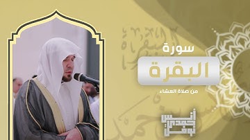 ترنم بديع من سورة البقرة || أنس نوفل || صلاة العشاء من مسجد الرجاء