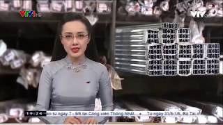 THỜI SỰ 19H00  VTV1   VẤN NẠN NHÔM GIÁ RẺ TRUNG QUỐC TẠI VN