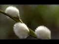 Surah Al Baqarah with Urdu Translation Full