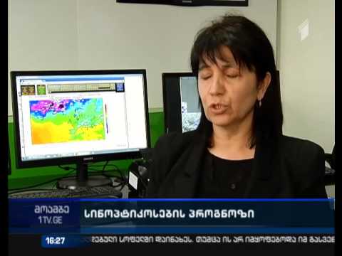 ცვალებადი ამინდი 14 თებერვლამდე შენარჩუნდება