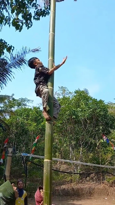 Bocah sakti panjat pinang tercepat se dunia😅