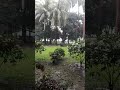 বৃষ্টির সময় যে দোয়া পড়লে আল্লাহর নিকট দোয়া কবুল হয় #shotrs #shortvideo #islamicshorts #islam