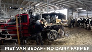 Hoof Trimming Heifers (137)