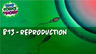 B13 - AQA GCSE 1-9 REPRODUCTION WHOLE TOPIC