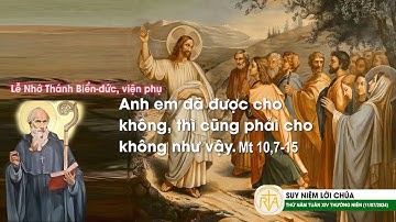 Suy Niệm Lời Chúa, Thứ Năm Tuần XIV Thường Niên (11/07/2024)