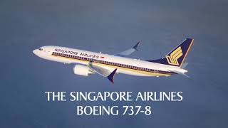 Singapore Airlines Boeing 737-8 Fly-Through Experience