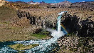 Dane Jackson 2020 Highlight Reel