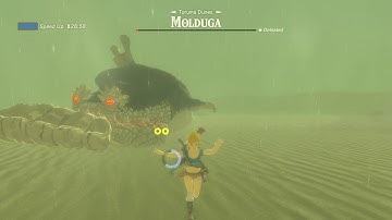 Cemu 1.13.0 | TLoZ:BotW [4K IR] [FS] - AMD Edition