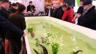 Выставка Рыболовство на Руси 2015г