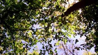 DSCI0006.AVI