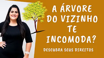 Quando a árvore do vizinho incomoda?