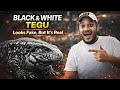 Why Is the Black &amp; White Tegu So Intelligent? 😳🦎 | Argentine Tegu Explained | Karnataka Aquarium