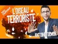 Antoine demor  loiseau terroriste