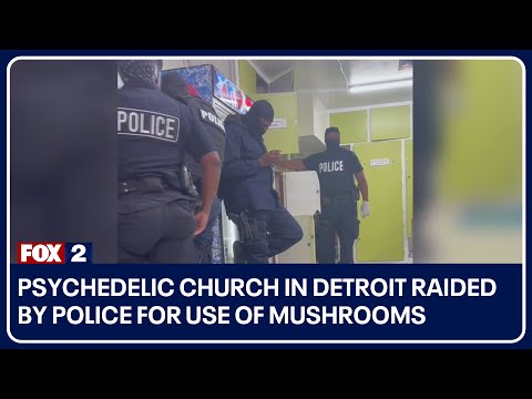 Psychedelic church in Detroit raided by police for use of mushrooms