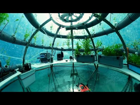 იტალიის სანაპიროსთან წყალქვეშა სათბურები აშენდა