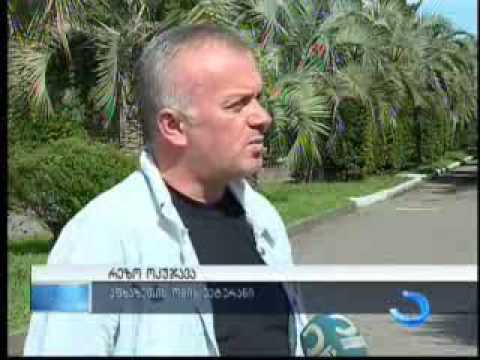 21 წელი სოხუმის დაცემიდან