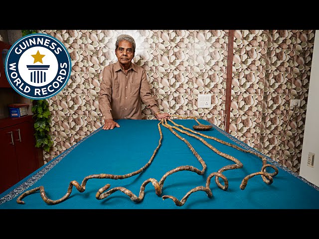 Nail Artist Spends 23 Years Growing The World's Longest Fingernails | Ladun  Liadi's Blog