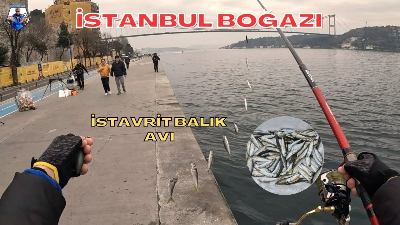 İSTANBUL BOĞAZI | İSTAVRİT BALIK AVI | RUMELİ HİSARI ÇAPARİ İLE İSTAVRİT NASIL TUTULUR #fishing