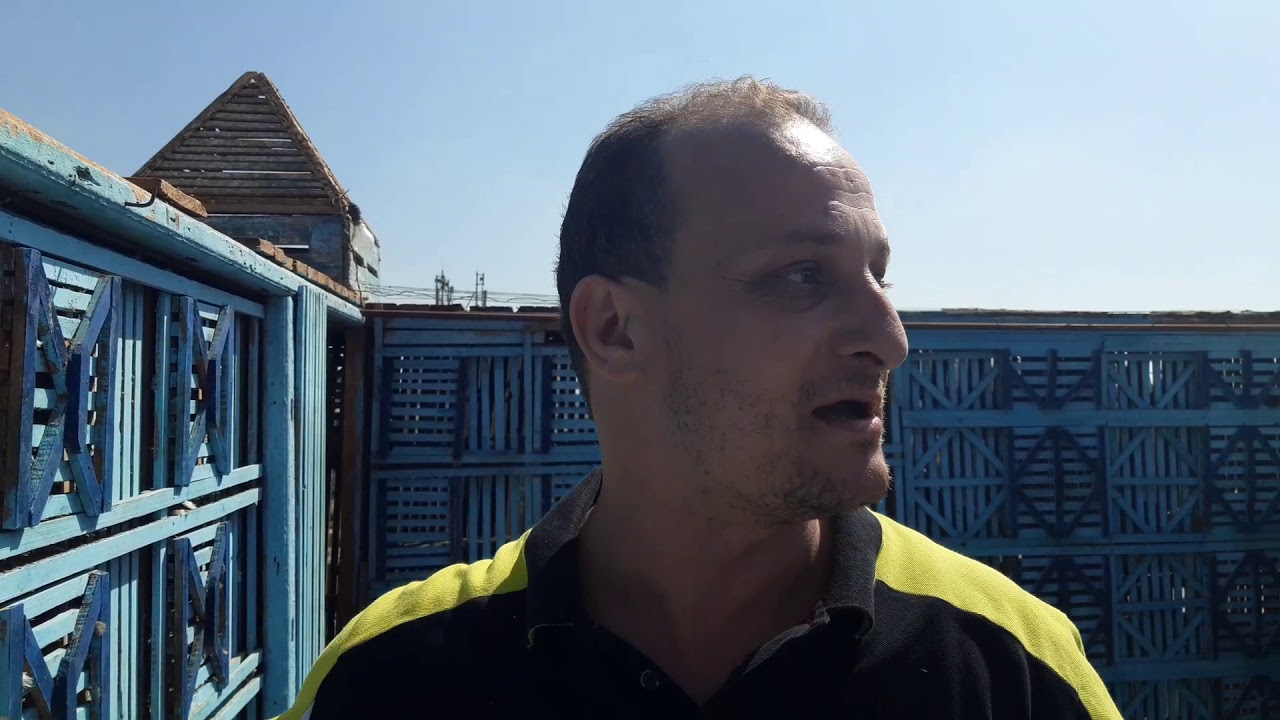 متع عينك بأجمل حمام البلاق بجميع انواعها،سايب ،مع.. سيد عمهم من امبابة ...اوطة امبابة