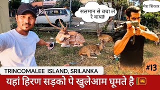 Surprised to See Hidden island in srilanka, Trincomalee Island??
