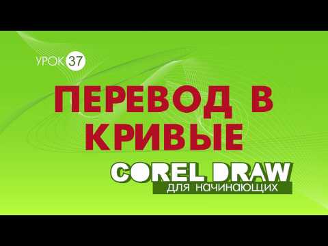 Видео: Хүрэм шуудай шиг өлгөгдсөн: Бергузар Корел хоёр дахь төрсний дараа жингээ хасав