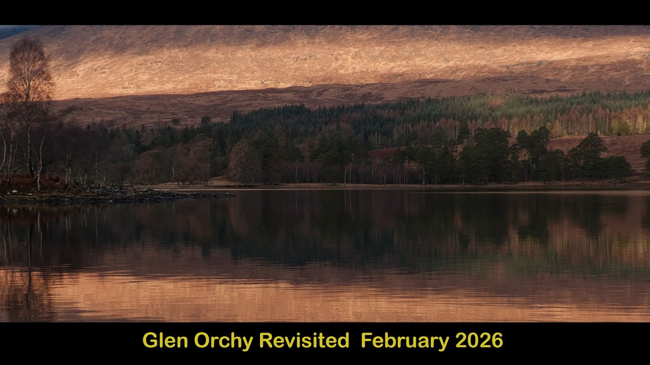 Глен Орчи снова в центре внимания