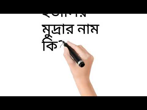 ভিডিও: একটি খরগোশের ওজন কত? মাংস খরগোশের জাত। মাংসের জন্য খরগোশের প্রজনন